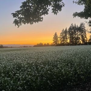 Meet your Posher, Nathan